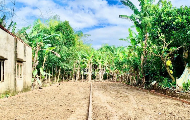  CƠ HỘI SỞ HỮU ĐẤT NỀN ĐIỆN HỒNG – ĐIỆN BÀN | VEN ĐÀ NẴNG – GIÁ CHỈ 6xx TRIỆU! 